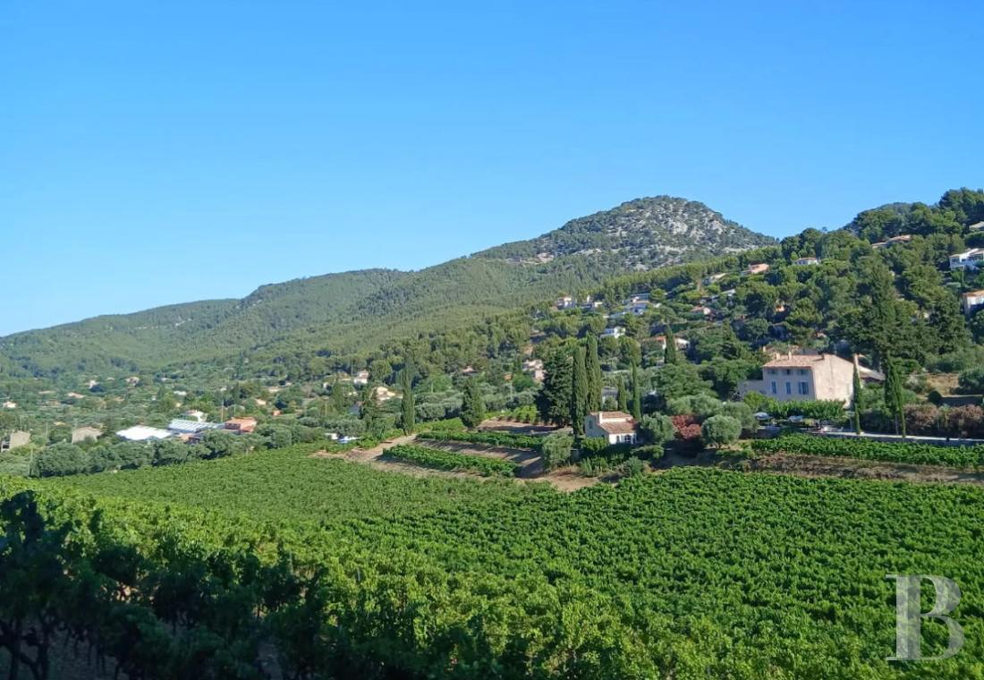 vineyards for sale France provence cote dazur   - 1